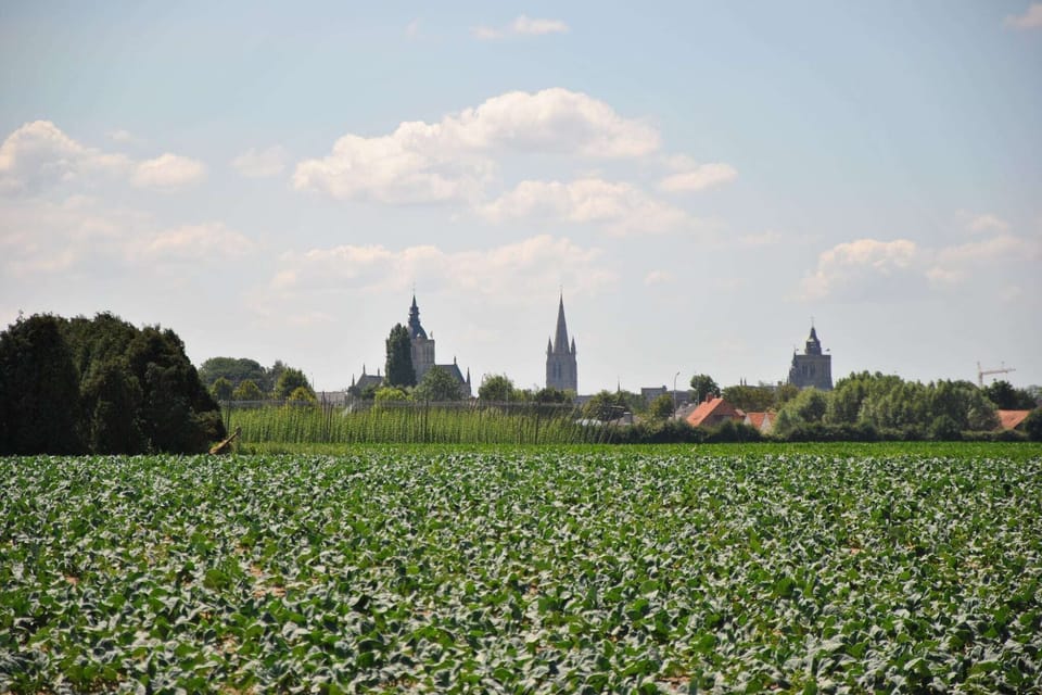Surroundings [summer] (1-5 km)