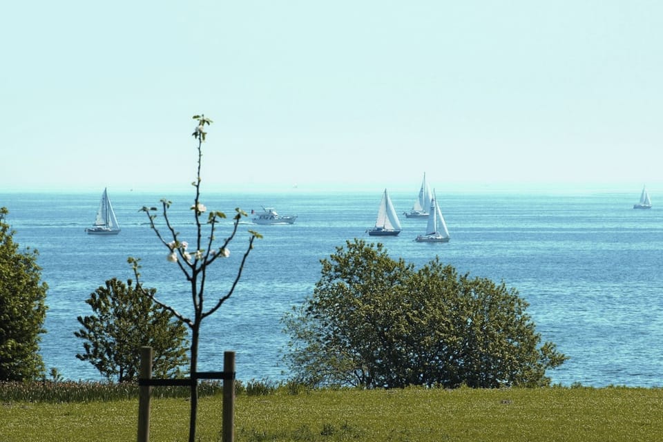 Immediate Surroundings [summer] (<1 km)