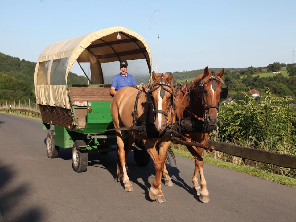 Holiday Park Facilities and Services 