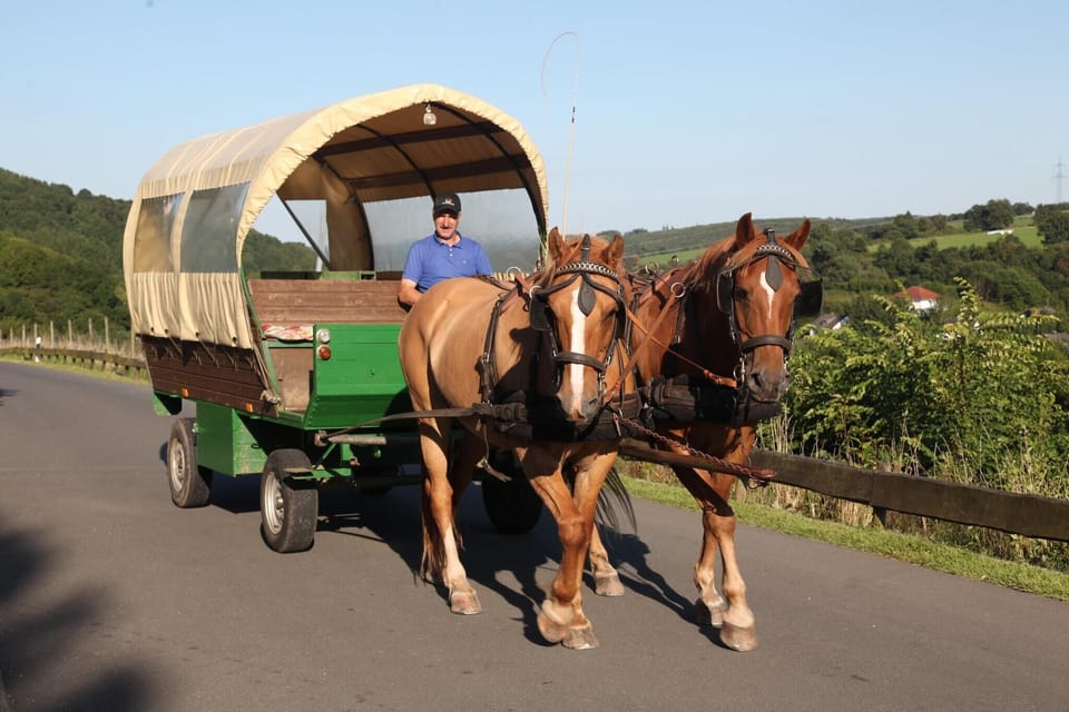 Holiday Park Facilities and Services 