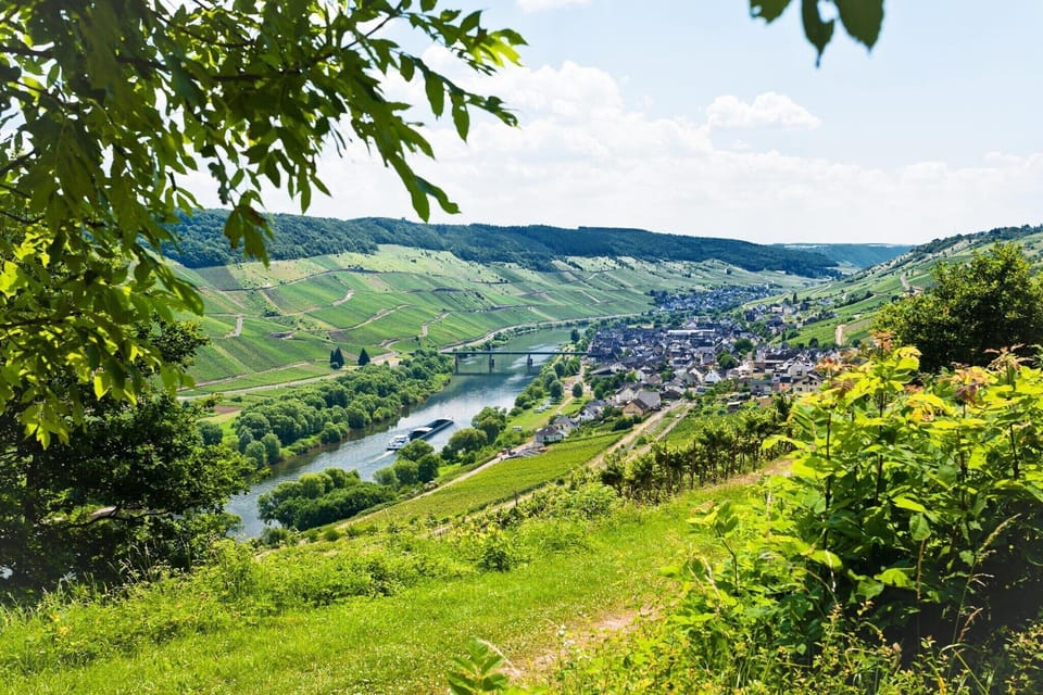 Region [summer] (>5 km)