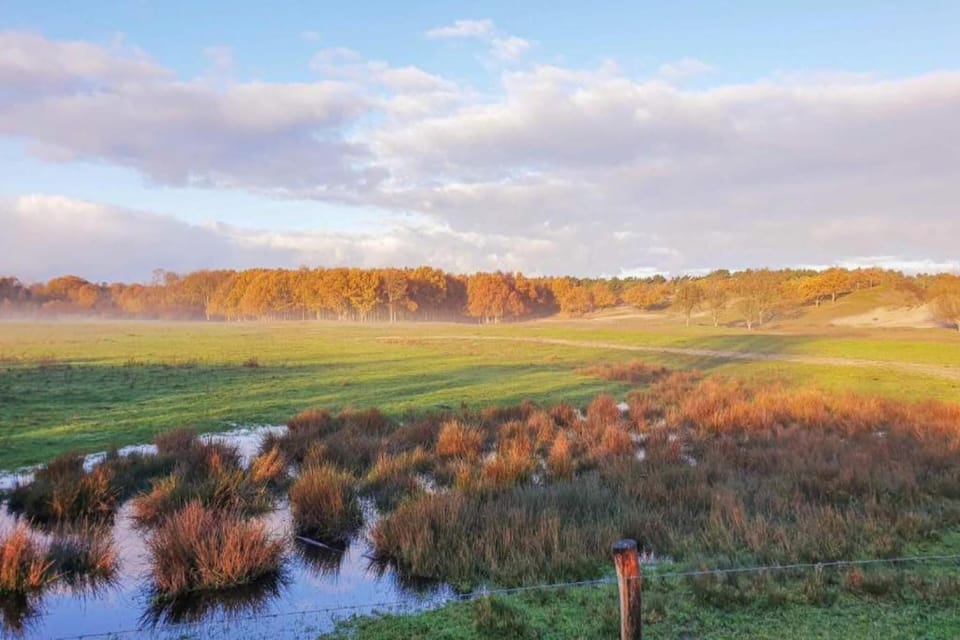 Region [summer] (>5 km)