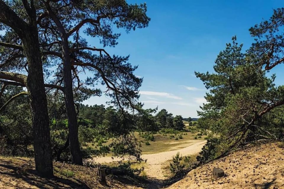 Region [summer] (>5 km)