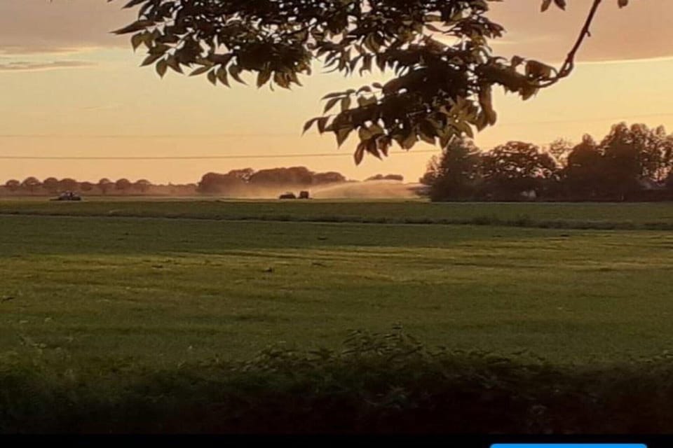 Region [summer] (>5 km)