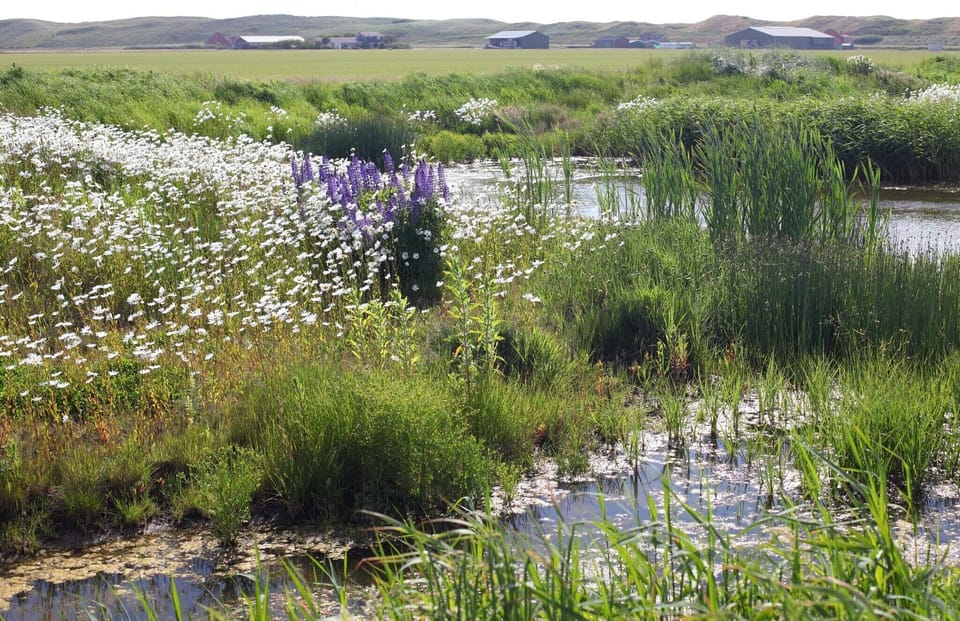 Surroundings [summer] (1-5 km)