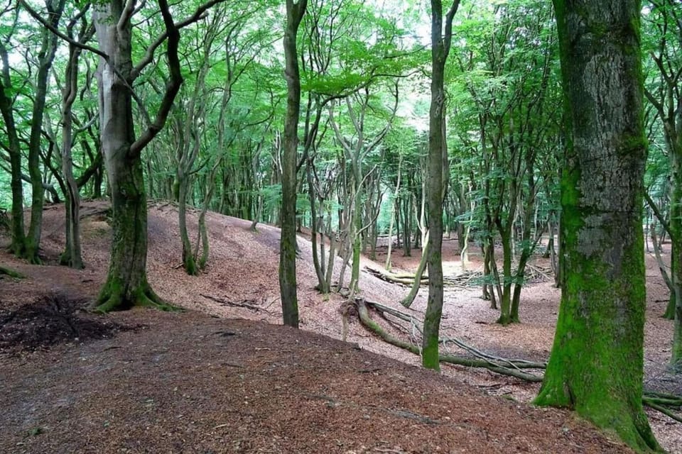 Surroundings [summer] (1-5 km)