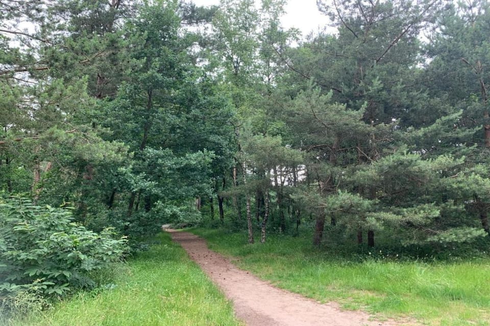 Surroundings [summer] (1-5 km)