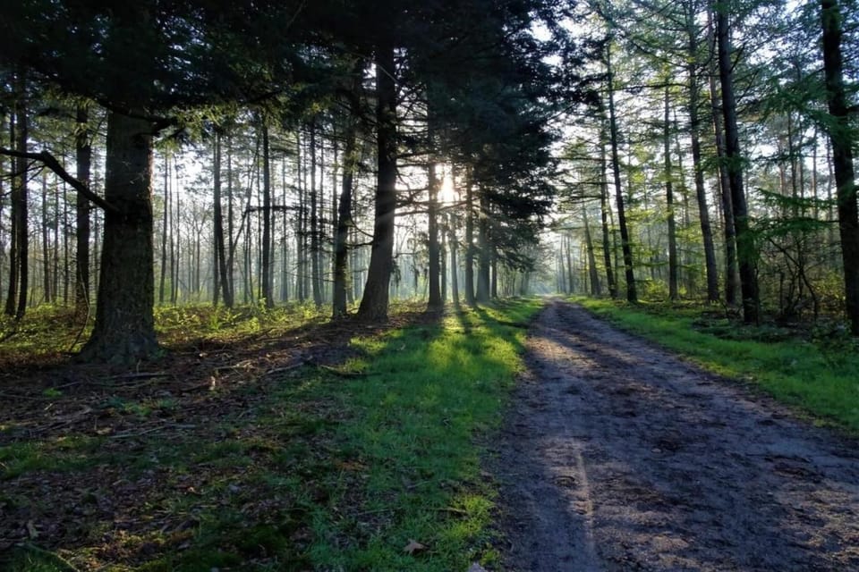 Surroundings [summer] (1-5 km)
