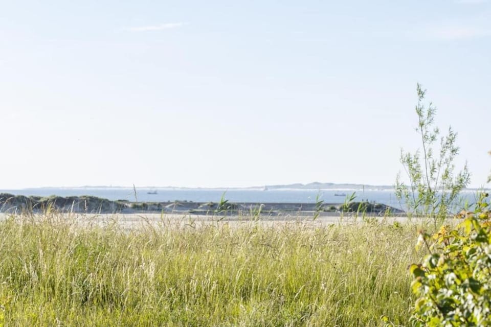 Surroundings [summer] (1-5 km)