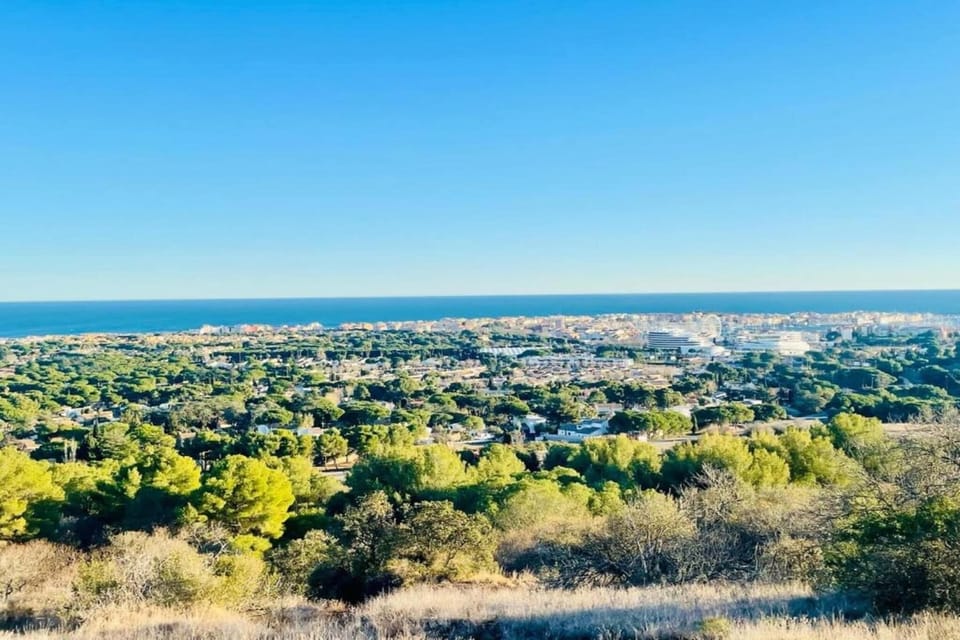 Region [summer] (>5 km)