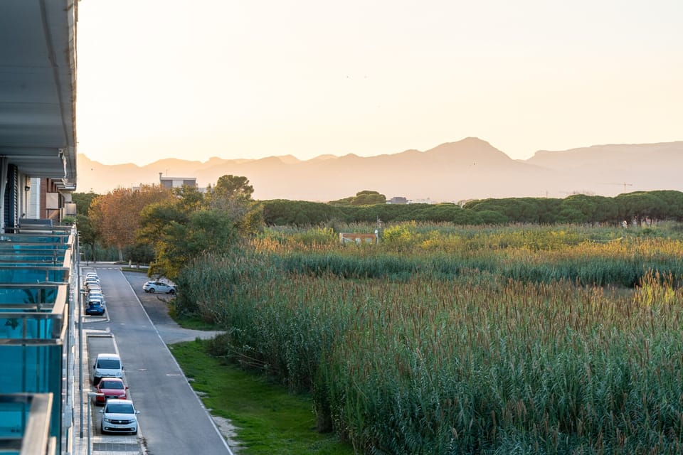 View from property