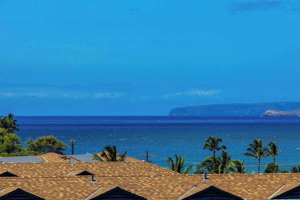 Bonus Island Views