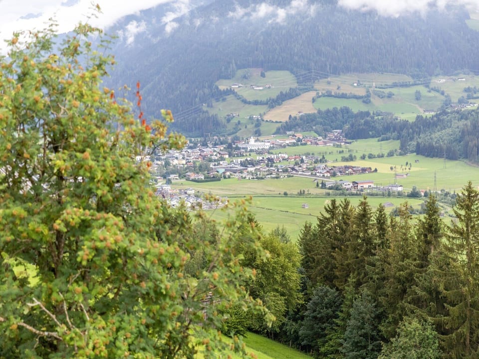 Immediate Surroundings [summer] (<1 km)