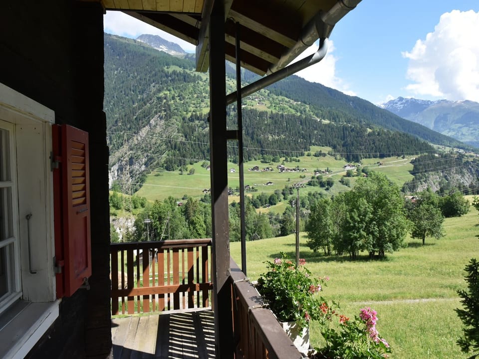 View from Holiday Home [summer]