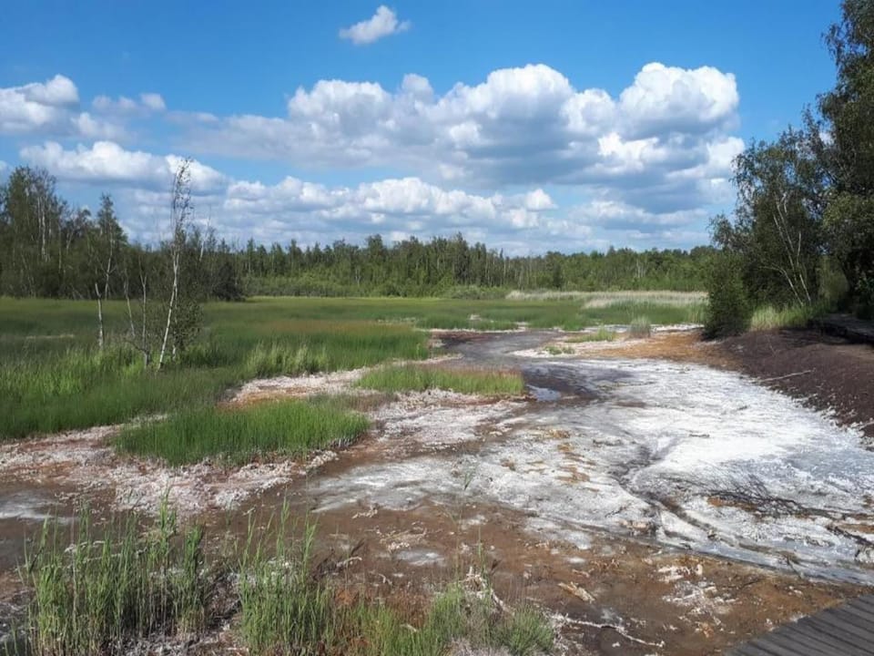 Region [winter] (>5 km)