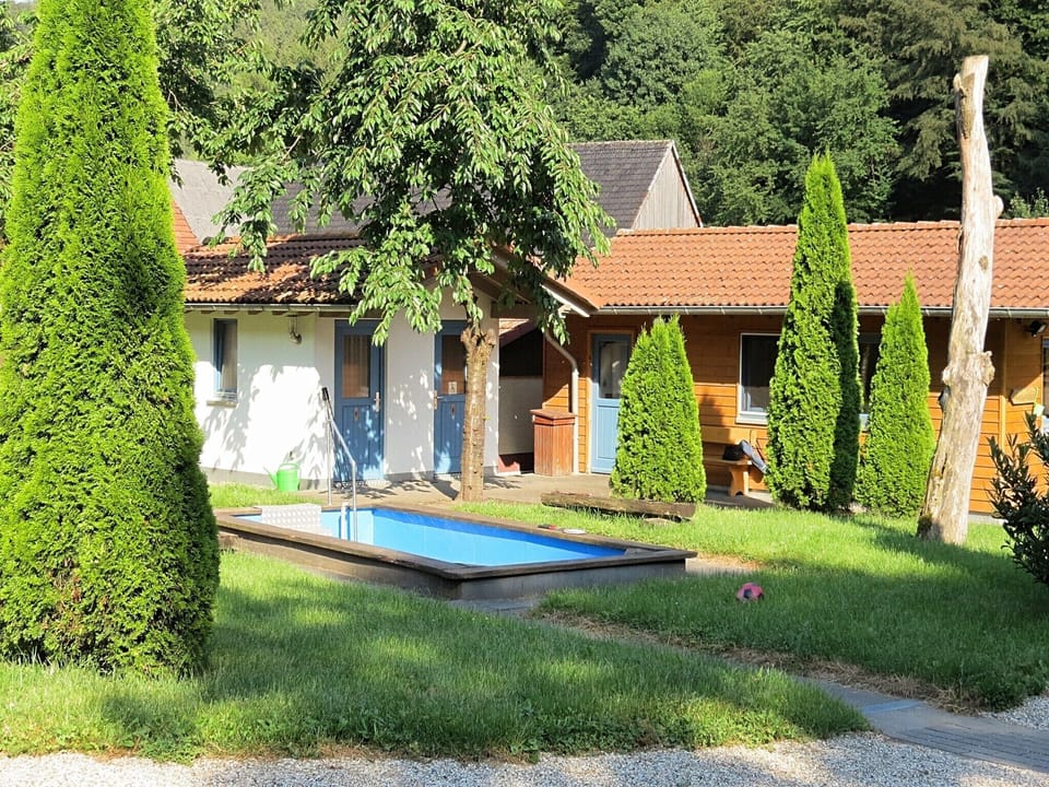 Garden [summer]