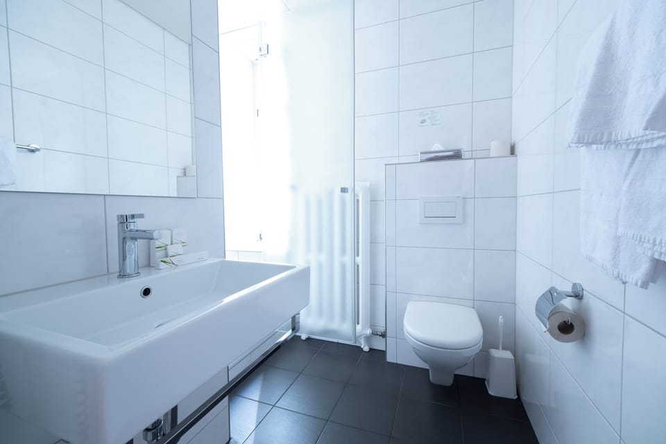 Deluxe Double Room | Bathroom | Hair dryer, towels, soap, shampoo
