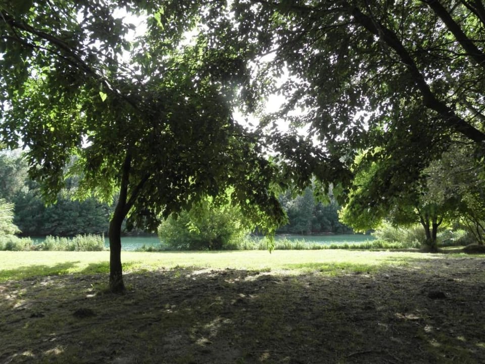 Region [summer] (>5 km)