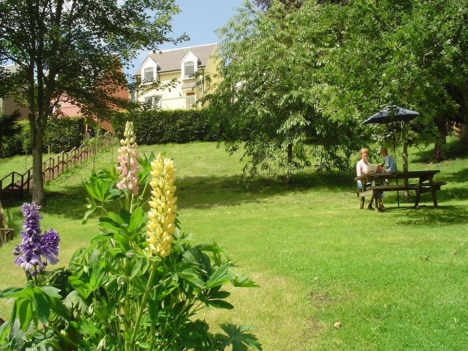 Garden [summer]