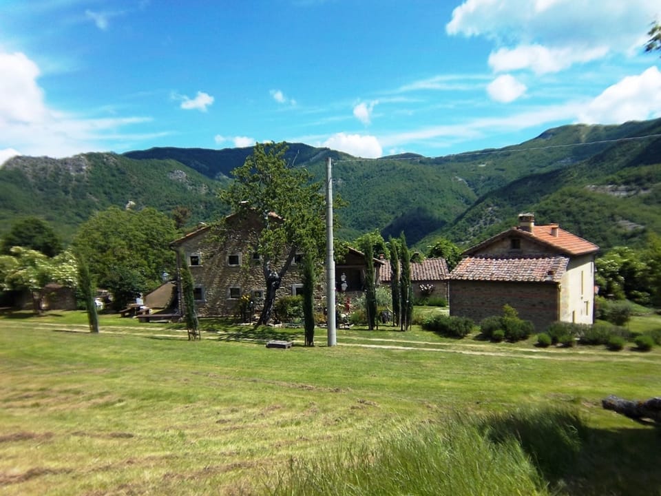 View from Holiday Home [summer]