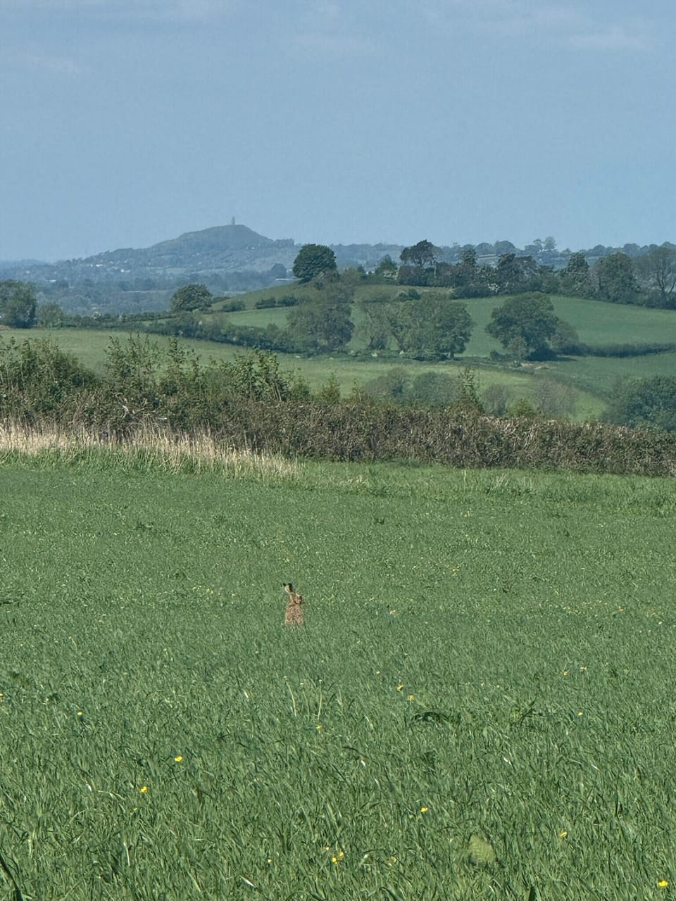 Studio | Miscellaneous