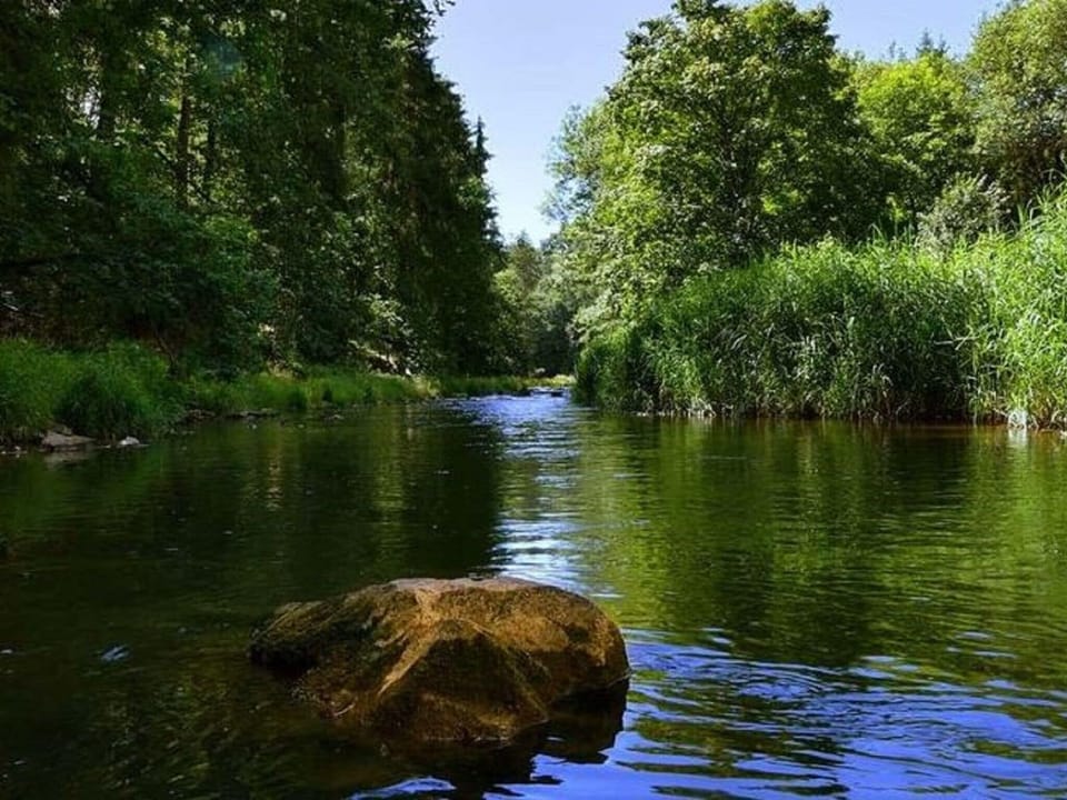 Region [summer] (>5 km)