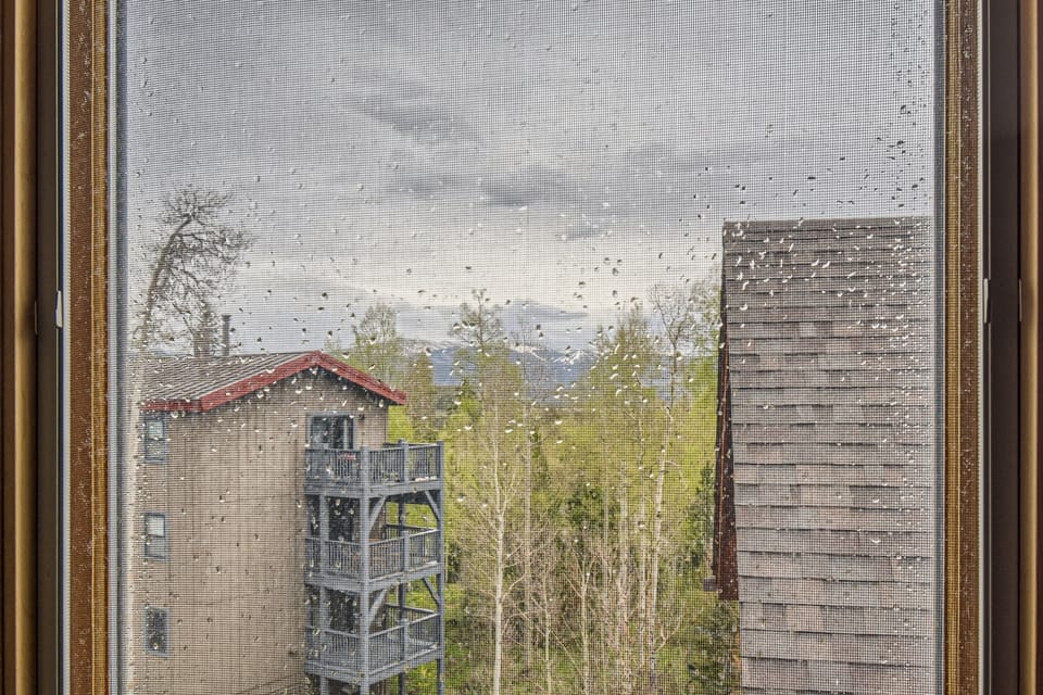 Townhome, 4 Bedrooms | View from property