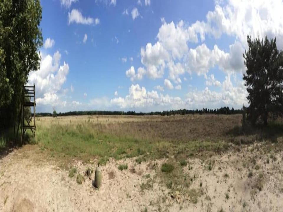 Region [summer] (>5 km)