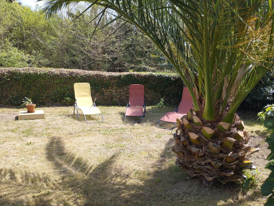 Garden [summer]