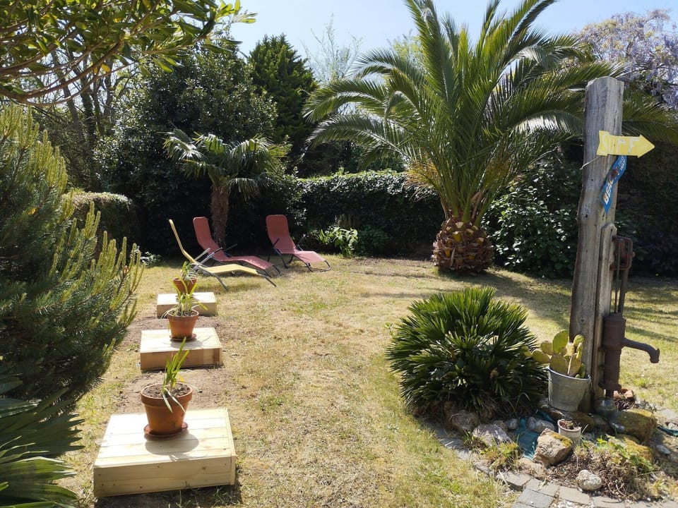 Garden [summer]