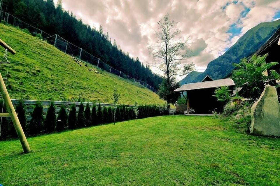 Garden [summer]