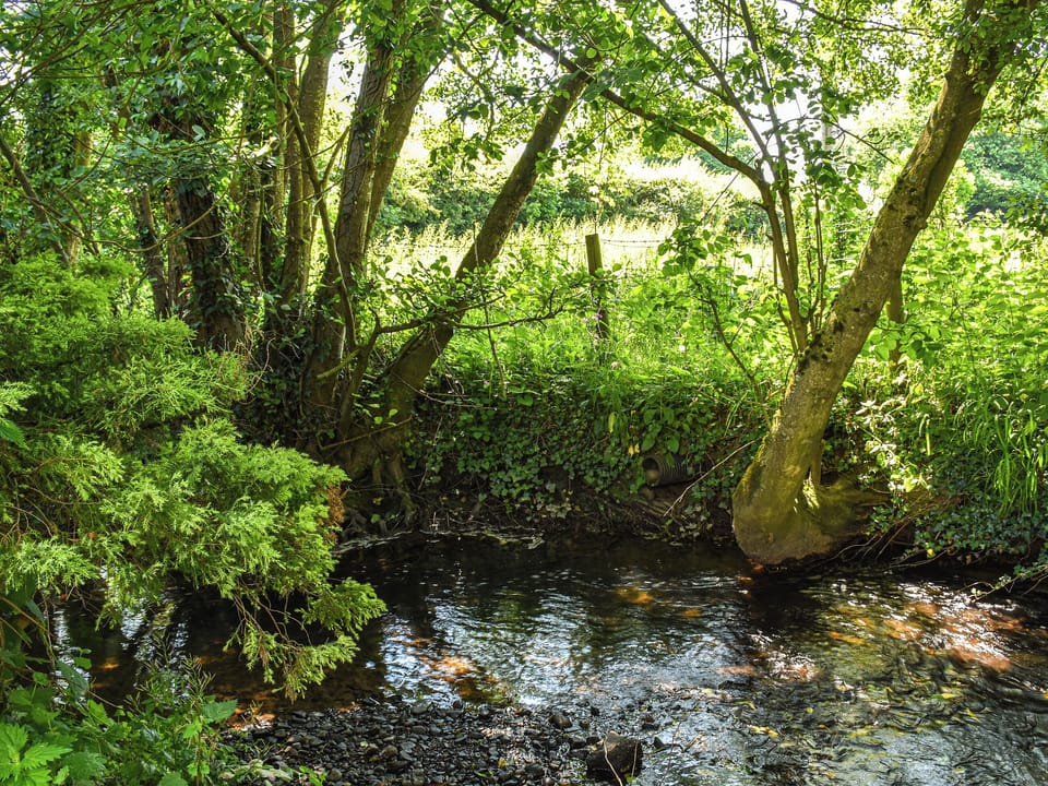Surrounding area | Bridge Cottage, Wyson, near Ludlow
