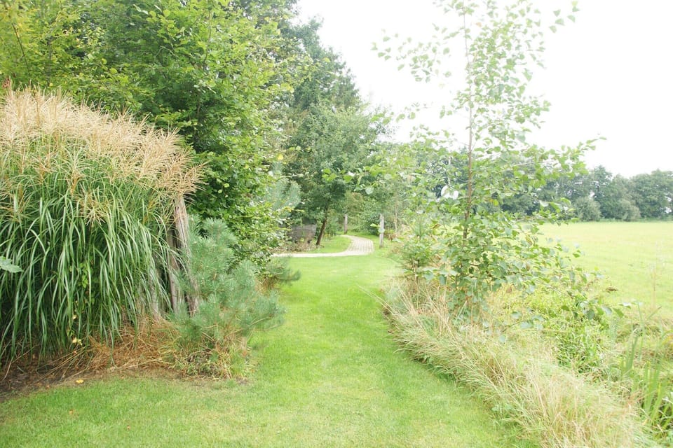 Immediate Surroundings [summer] (<1 km)