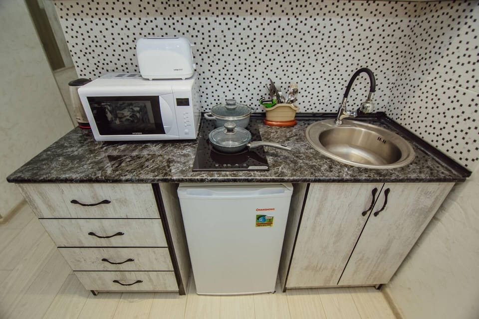 Studio | Private kitchen | Fridge, microwave, oven, stovetop