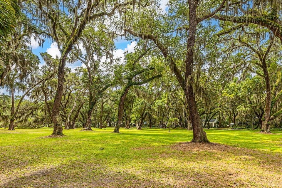 Enchanting St Simon`s Park is 4 houses down the street. A magical space of Live Oaks, spanish moss and big open spaces to explore and find a spirit tree! As you pass thru, you`re a block more to Moo Cow Ice Cream, & almost halfway to the beach!