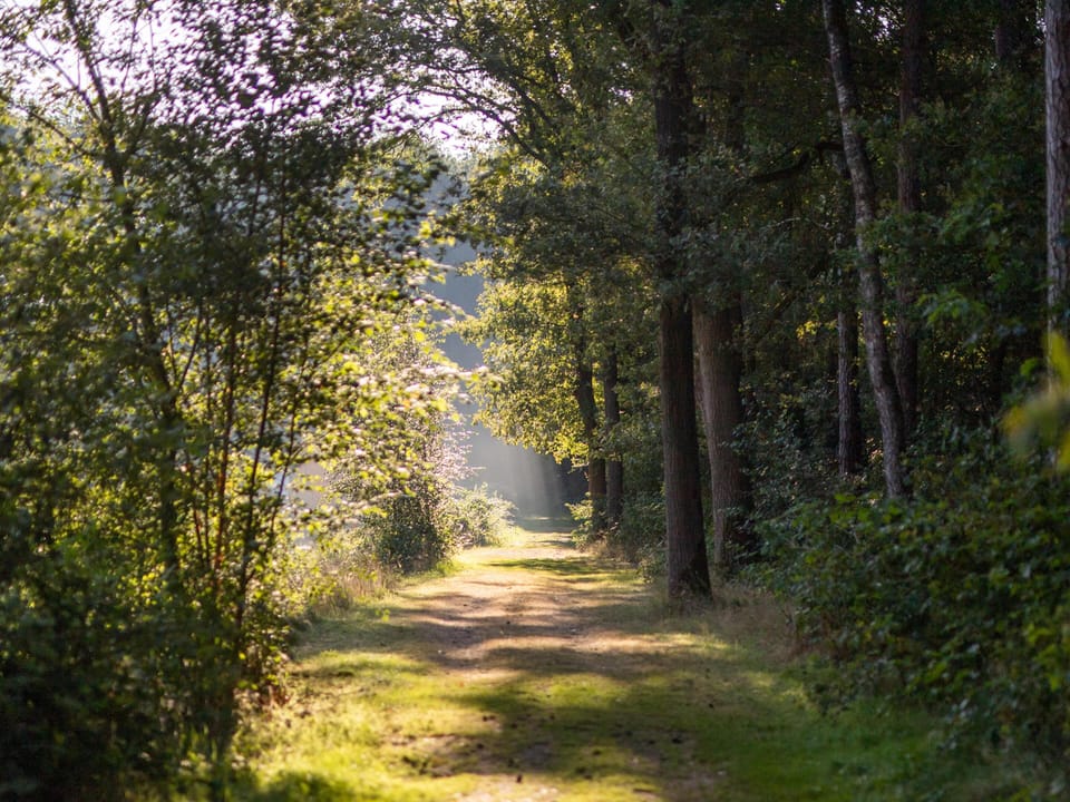 Surroundings [summer] (1-5 km)
