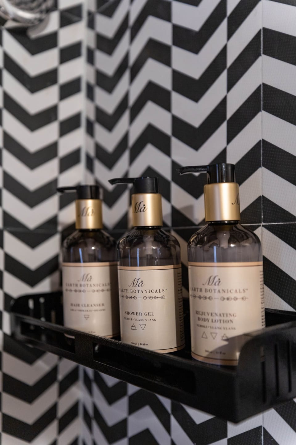 Luxury AC Family Room | Bathroom amenities | Shower, rainfall showerhead, free toiletries, towels