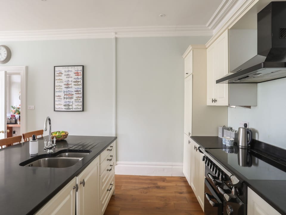 Fridge, dishwasher, electric kettle, toaster