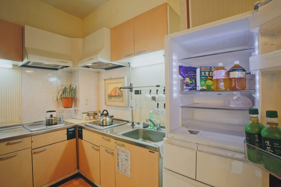 Fridge, microwave, stovetop, cleaning supplies