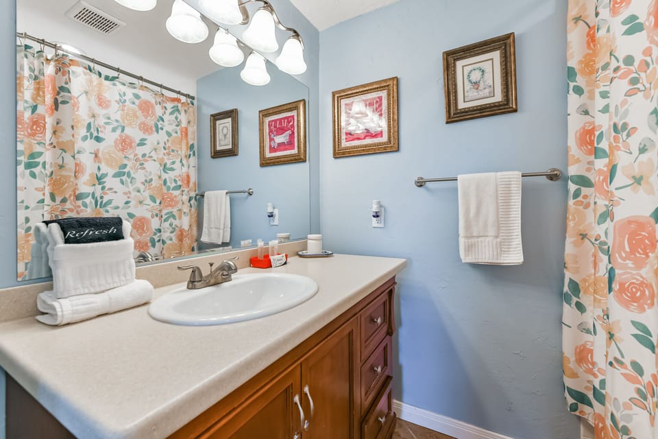 LOTS OF COUNTERSPACE IN THE BATHROOM