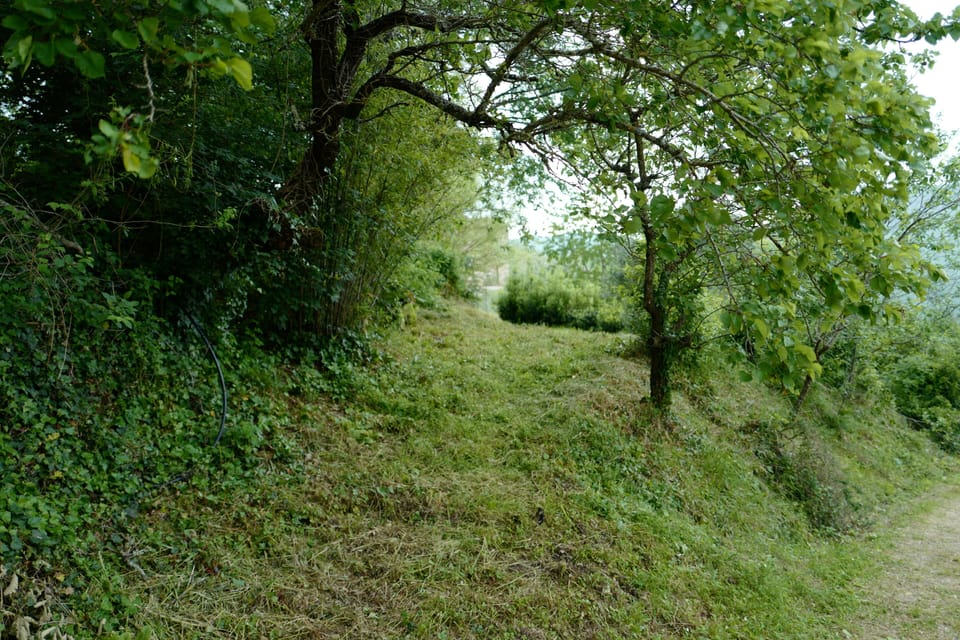 Miscellaneous