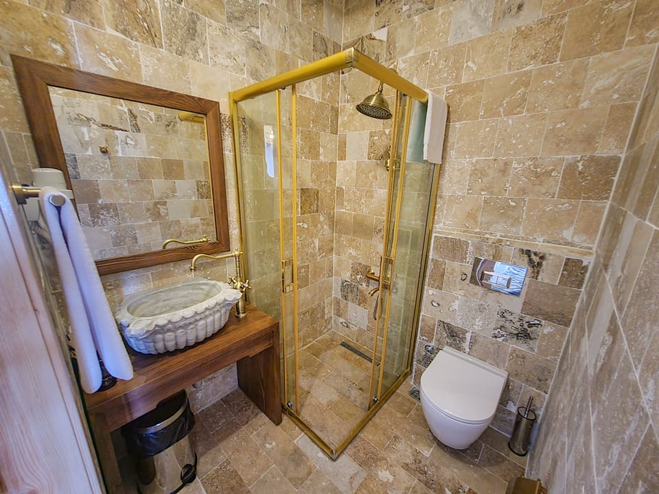 Deluxe Room | Bathroom | Shower, rainfall showerhead, hair dryer, bathrobes