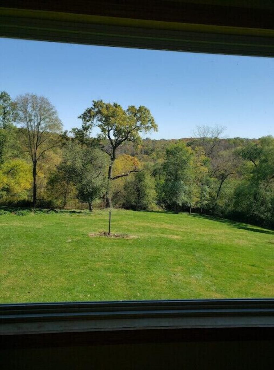 View from property