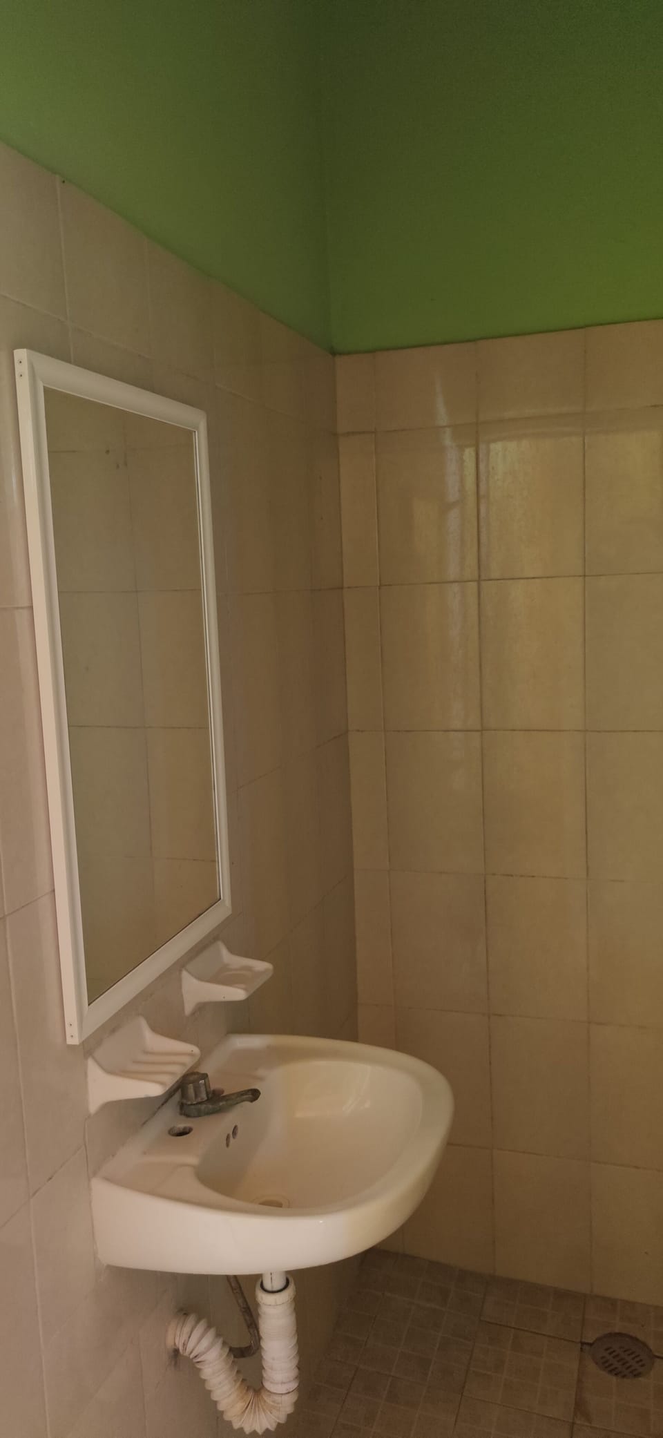 Exclusive Single Room | Bathroom | Shower, soap, shampoo, toilet paper