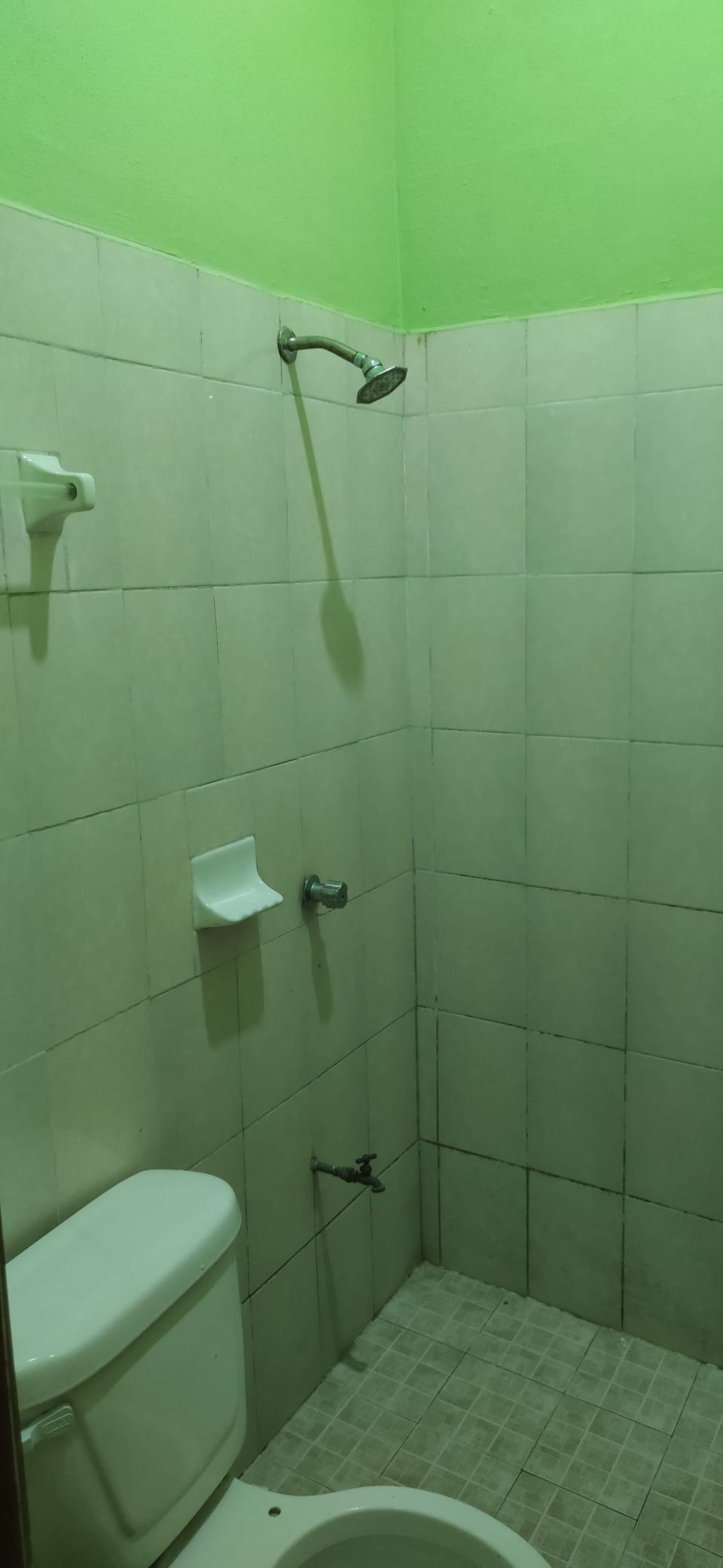 Exclusive Single Room | Bathroom | Shower, soap, shampoo, toilet paper