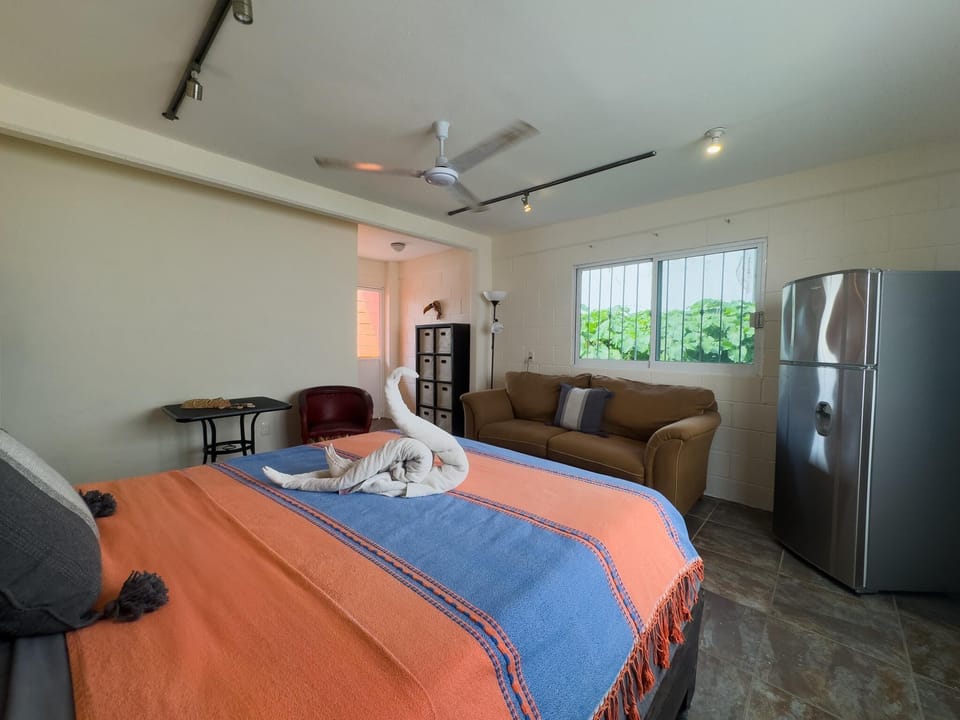 Cozy studio with vibrant bedding and natural light