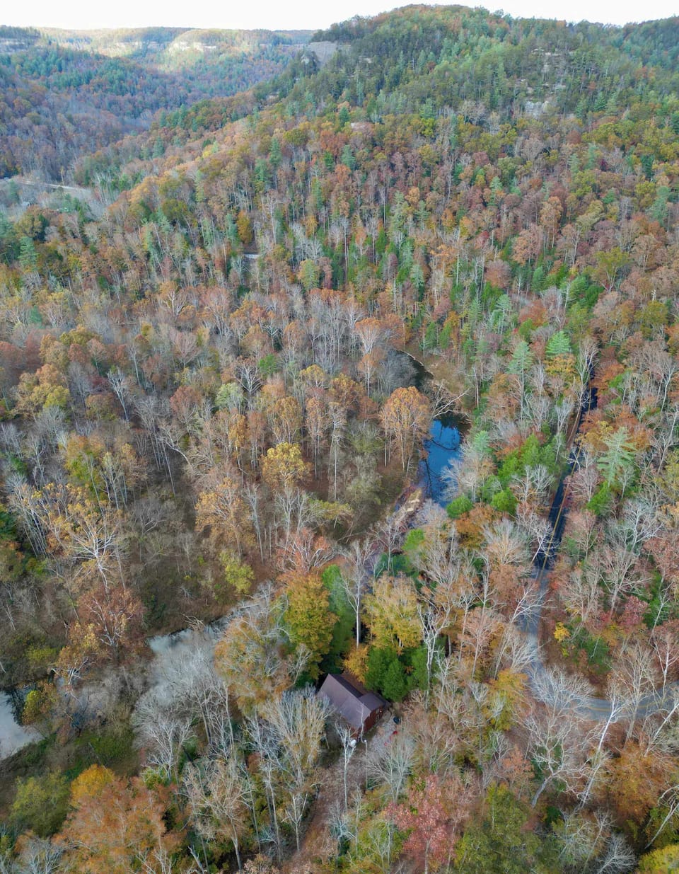 Mountain Laurel cabin sits right along the Red River on private property right off of the 715 loop that goes around the Red River Gorge, near the Gladie visitor center. 