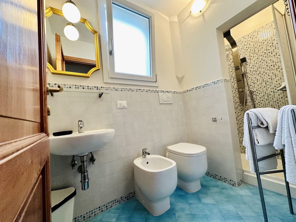 Terrace Studio | Bathroom | Shower, hydromassage showerhead, free toiletries, hair dryer