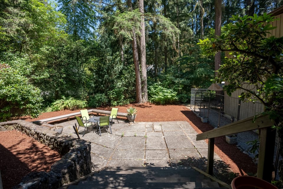 Back patio