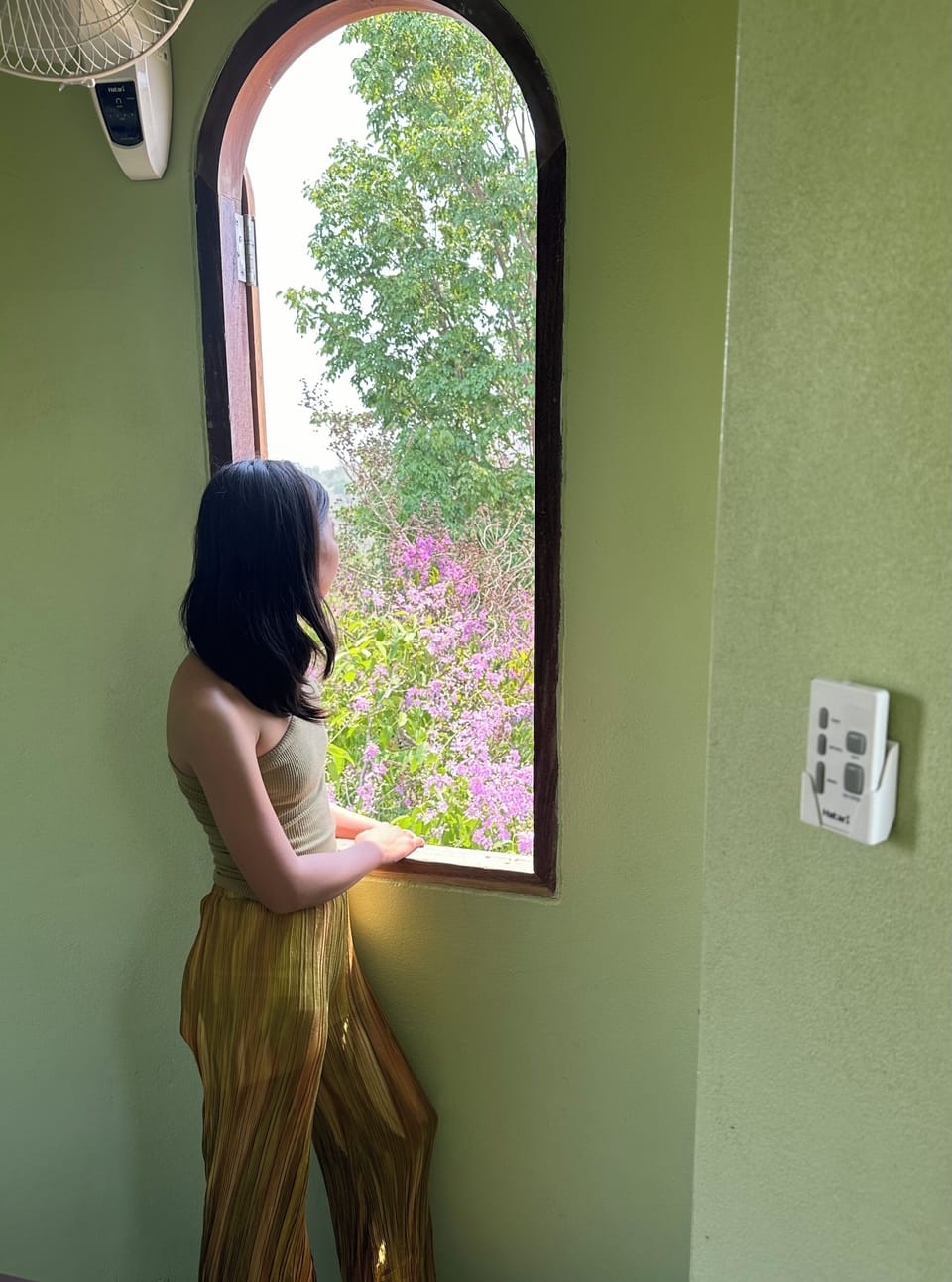 View from property